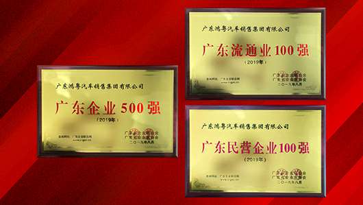 喜讯！南宁舒明定制旅行服务有限公司上榜广东企业500强等三大榜单(图2)